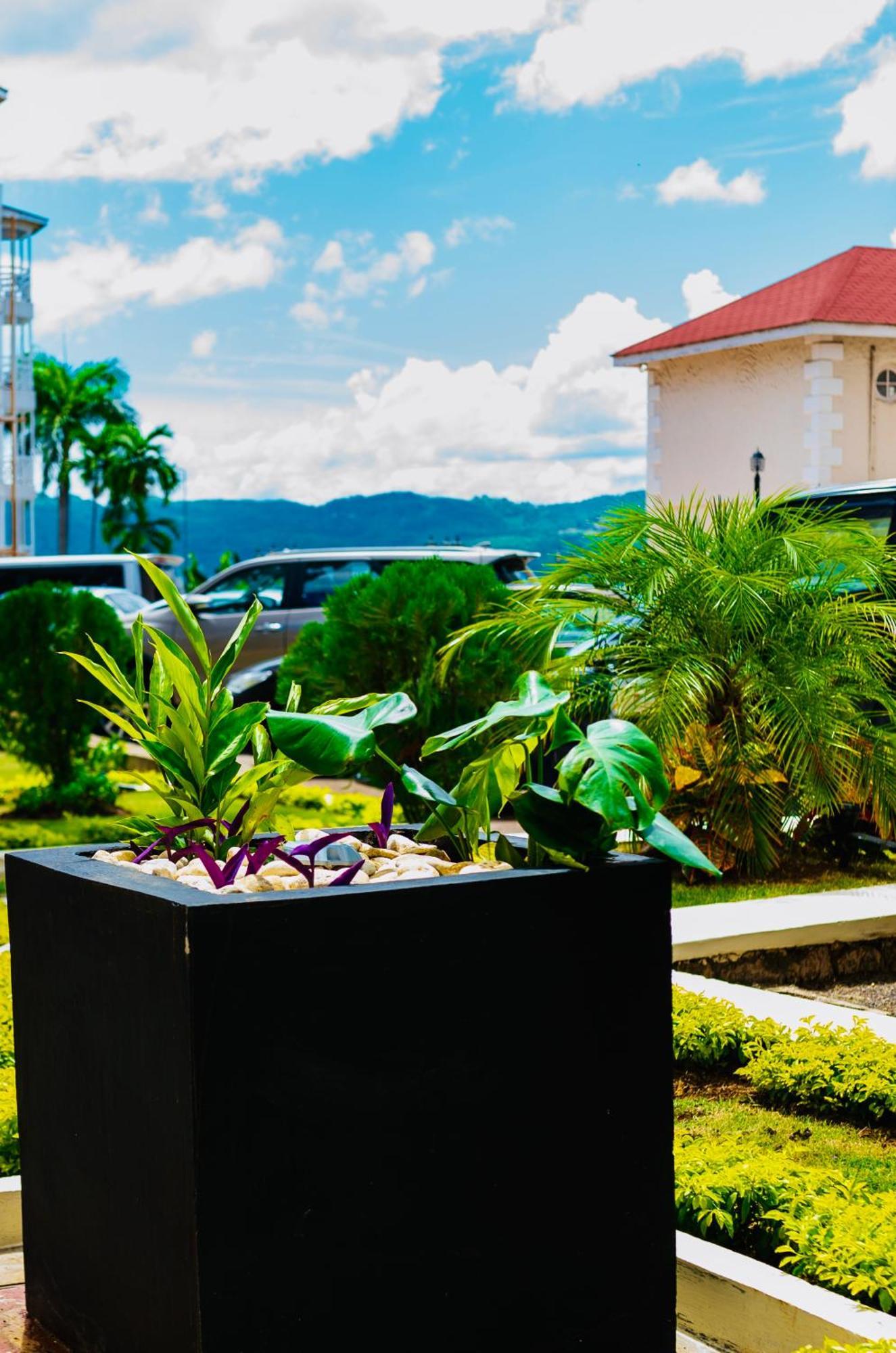 Falcon Shoreline- Airport Pickup Available - Gated-Security Montego Bay Eksteriør bilde